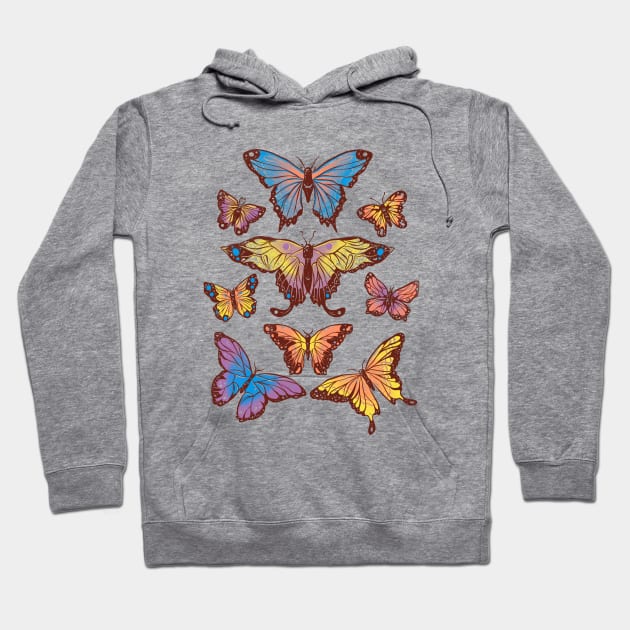 Butterflies - Beauty Caterpillars Colors Gift Hoodie by eduely